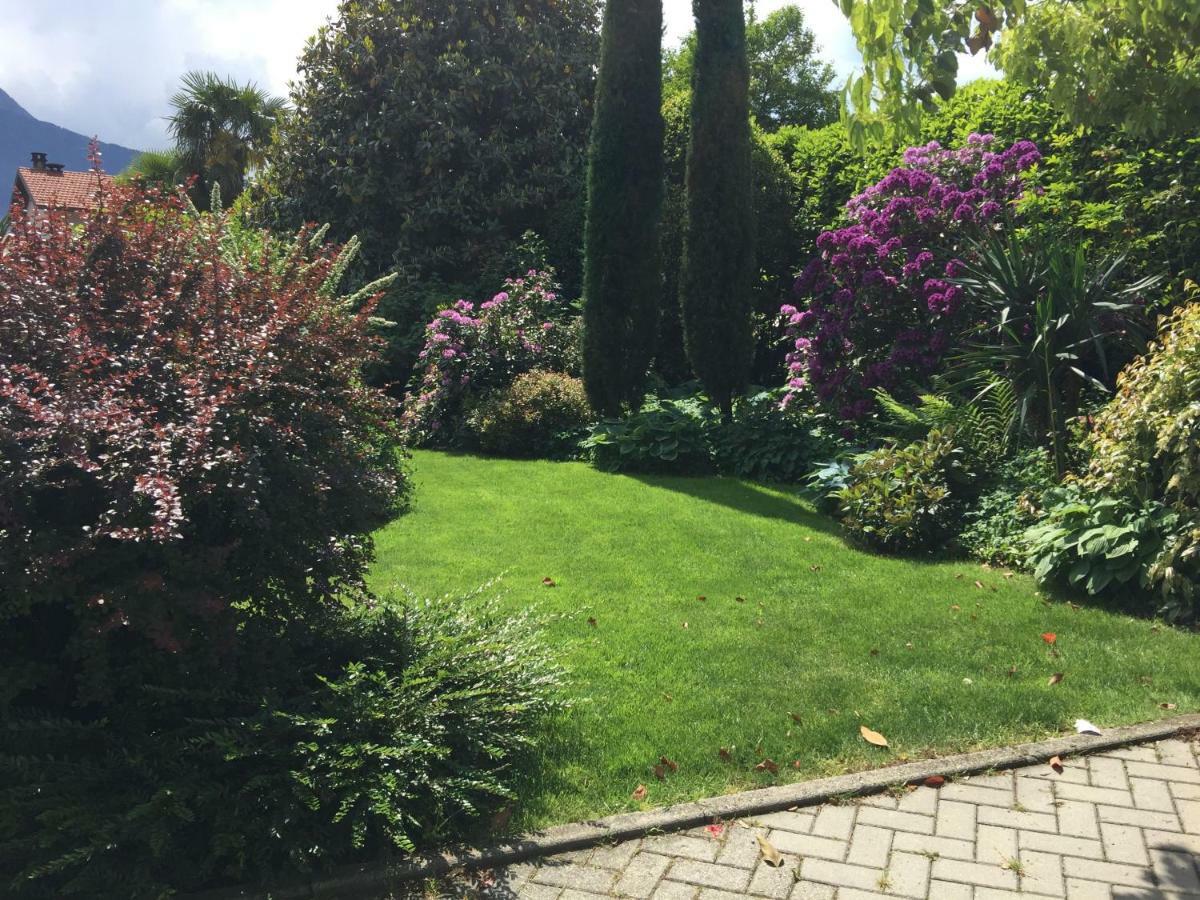 Iris 2 Lago Di Como ดองโก ภายนอก รูปภาพ