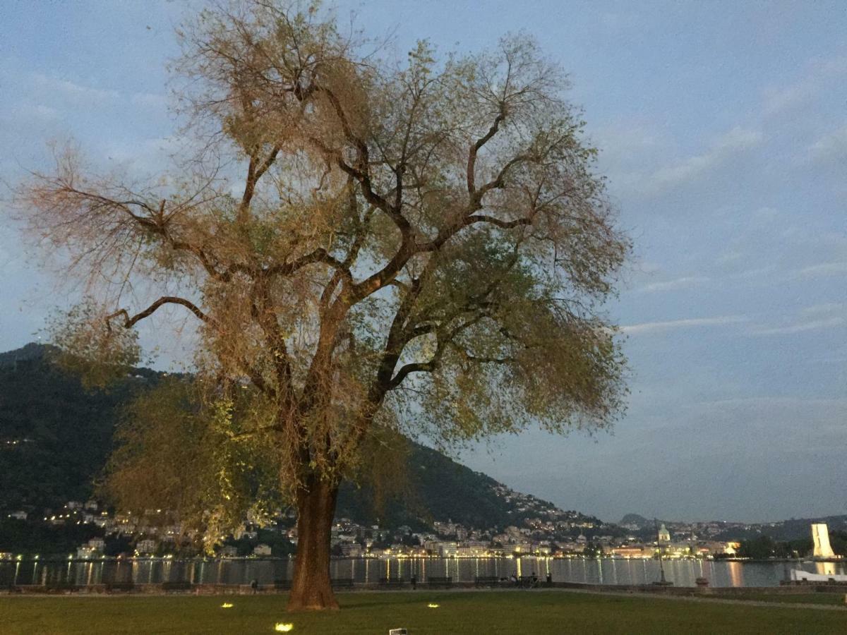 Iris 2 Lago Di Como ดองโก ภายนอก รูปภาพ
