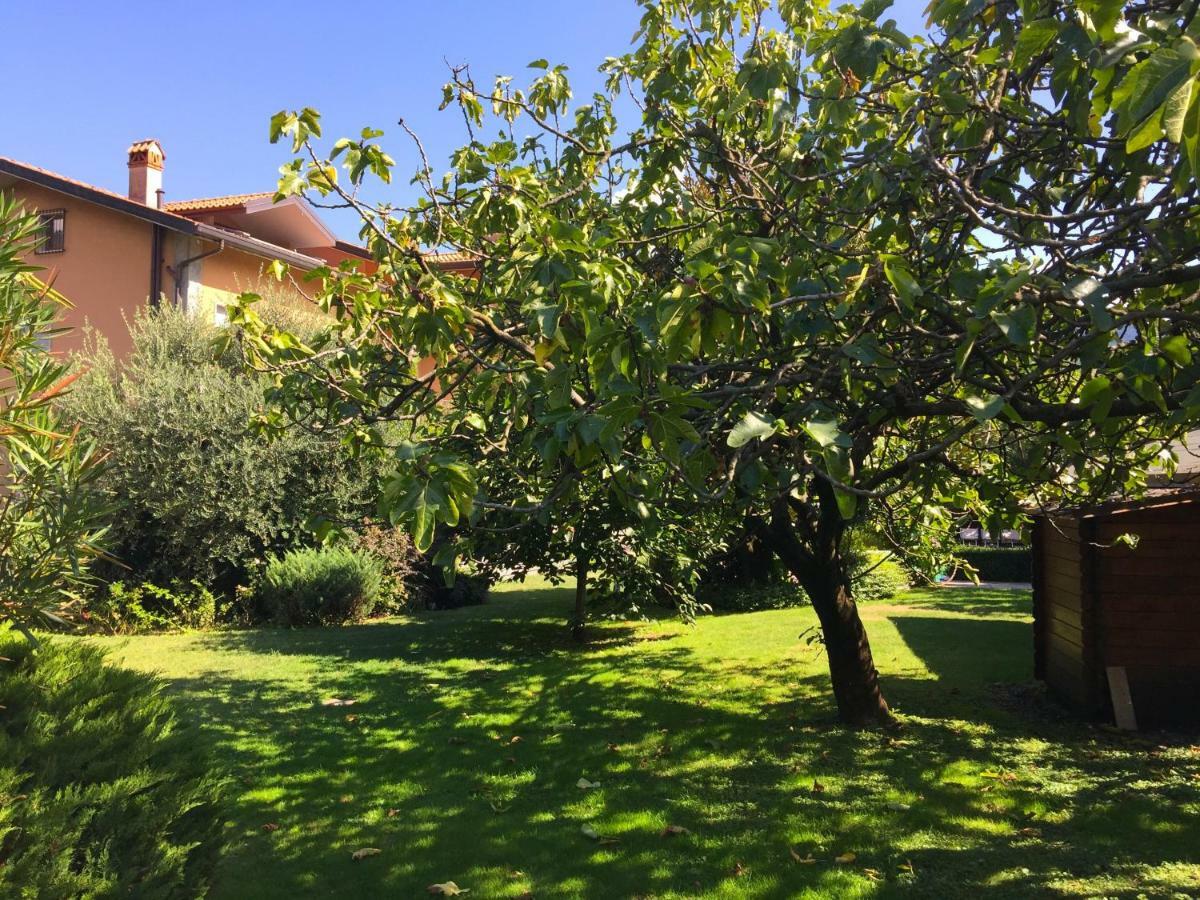 Iris 2 Lago Di Como ดองโก ภายนอก รูปภาพ